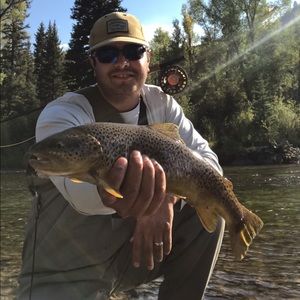 Meet your Posher, Jonathan